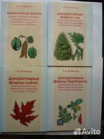 Т.Н. Встовская Декоративные формы клена рекоменду