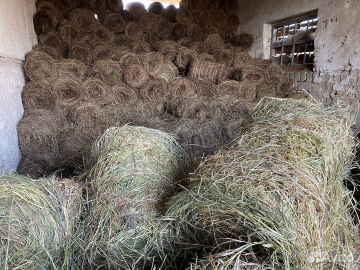 Сено в мини рулонах продам обмен