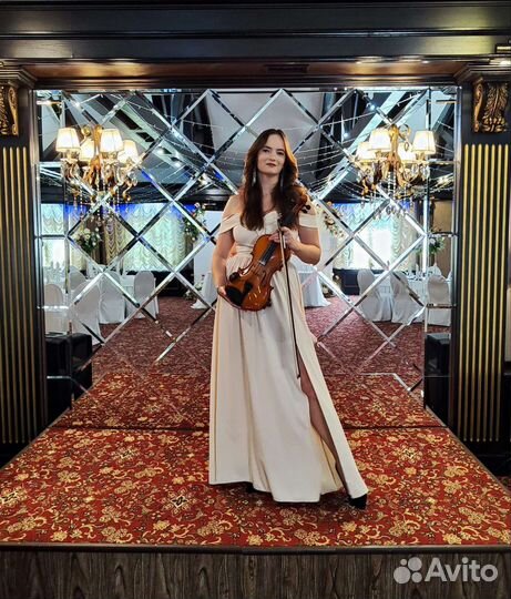 Скрипка Скрипачка на праздник музыкант