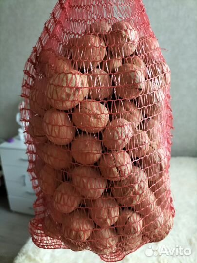 Грецкий орех