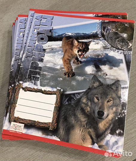 Общая тетрадь