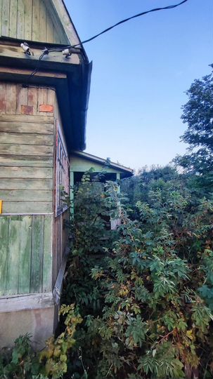 Участок 4 сот. (СНТ, ДНП)