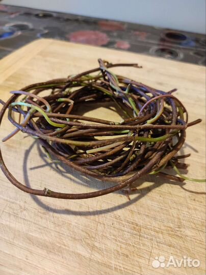 Лимонник китайский чай из листьев, листья, лоза