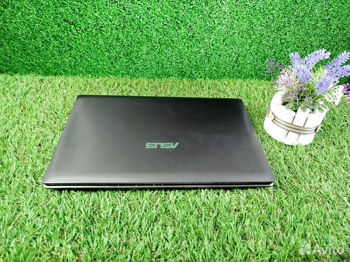 Asus, для дома, работы и слабых игр