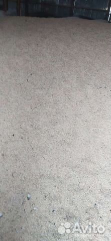 Пшеница ячмень