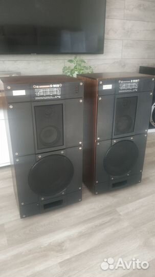 Акустические колонки radiotehnika S 90 B