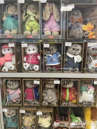 Кошечка Ли-ли в спортивном костюме