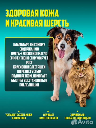 Рыбий жир в бутылках