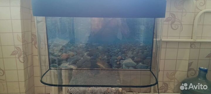Аквариум б/у, 100литров