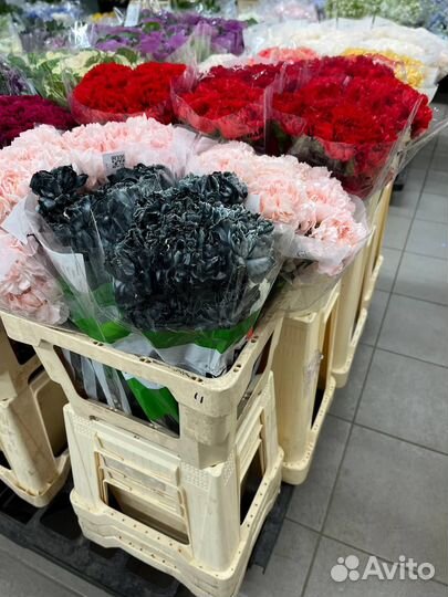 Цветы оптом гвоздики