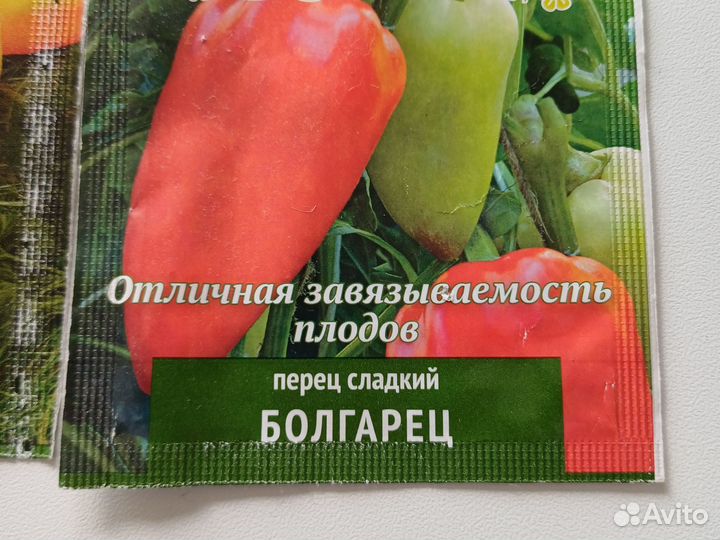 Рассада перца