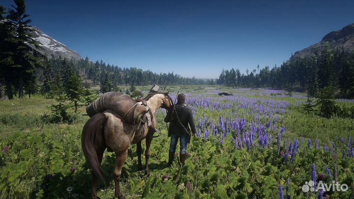 Red Dead Redemption 2 для Вашей PS4/5 h-7042