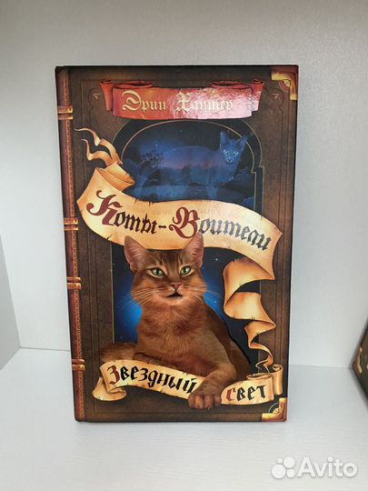 Коты воители 2 цикл