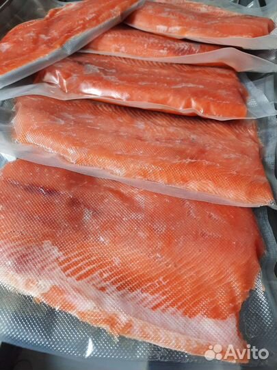 Рыба Сима свежая и малосольная