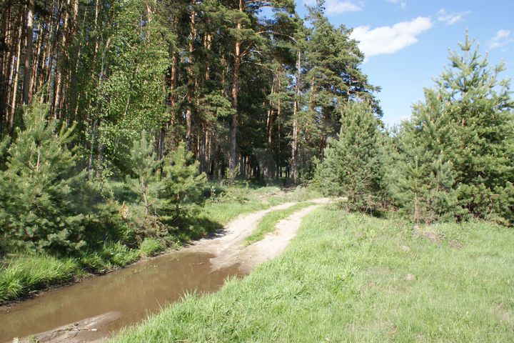 Участок 10,5 га (СНТ, ДНП)