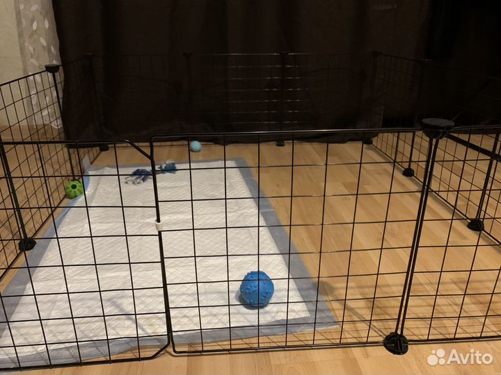 Манеж для собак маленьких пород