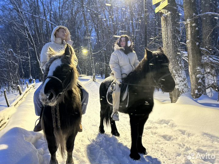 Конные прогулки