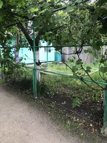 Дом 84 м² на участке 10 сот.