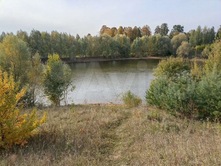 Дом 100 м² на участке 12 сот.