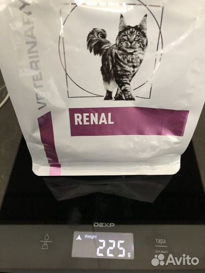 Корм для кошек