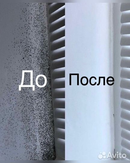 Средство от плесени