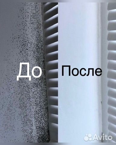 Средство от плесени