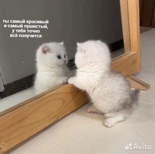 Репетитор 5-9 классов по математике