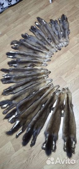 Шкурки соболя