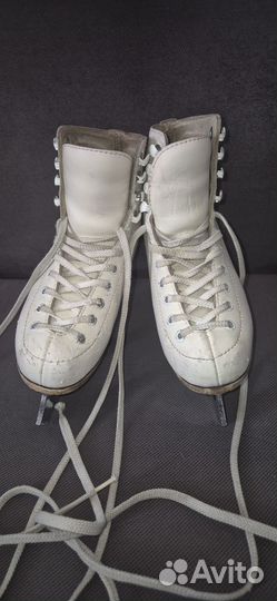 Фигурные коньки wifa 31