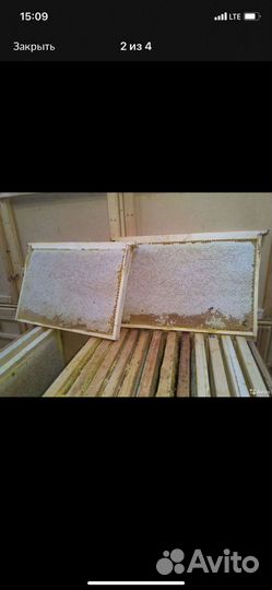 Мед ведро 15кг с доставкой по Махачкале