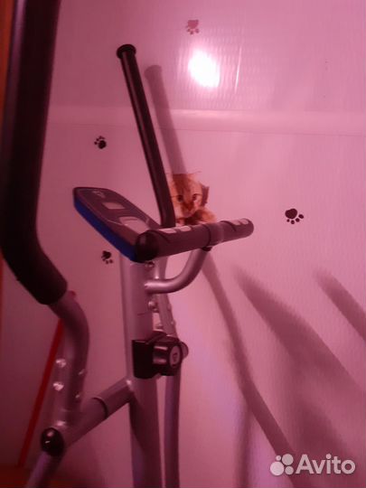 Эллиптический тренажер torneo