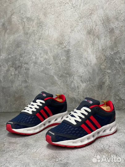 Adidas Climacool Blue Red