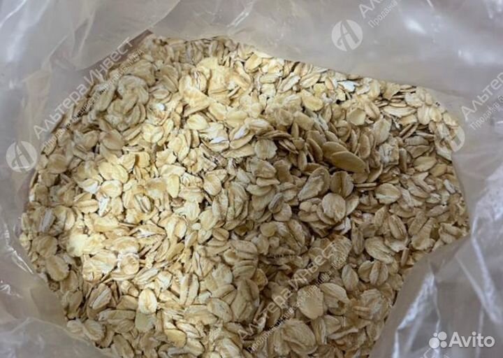 Производство геркулеса в лизинг