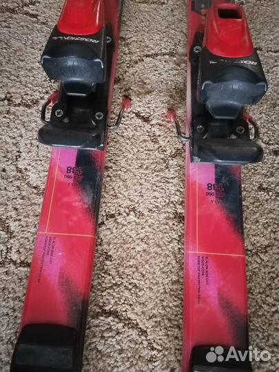 Горные лыжи