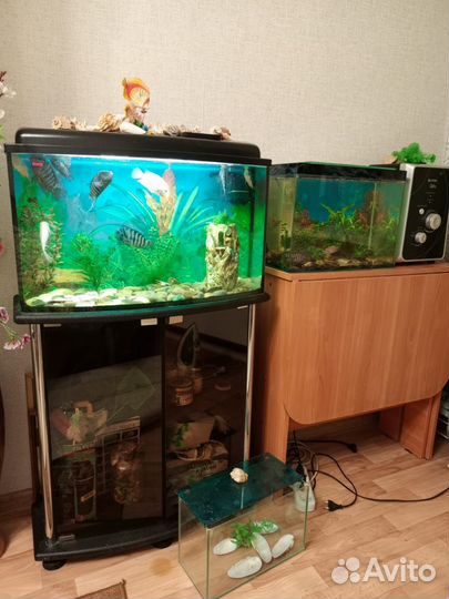 Аквариум с тумбой, рыбками