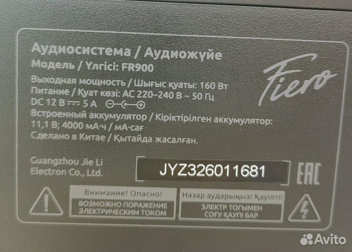 Портативная аудиосистема Fiero Emotion 150 FR900