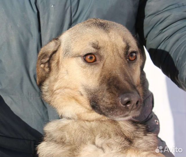 Октавию выкинули на мороз щенком