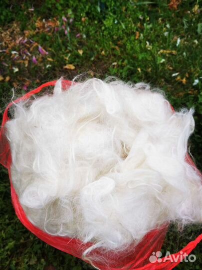 Козий пух стираный, чесанный