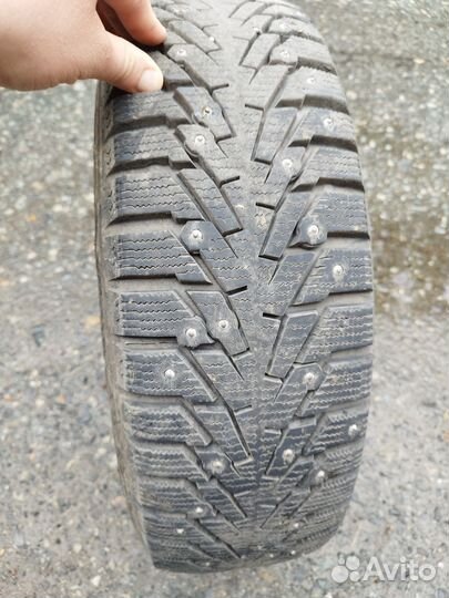 Nordman Nordman C 5.00/12.5 R12