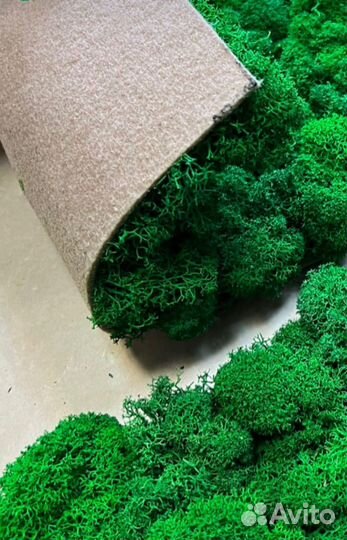 Панели из мха на гибкой основе