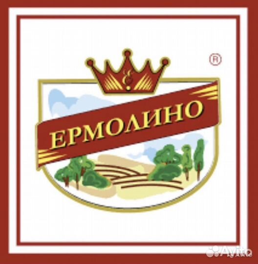 Продавец в продуктовый магазин