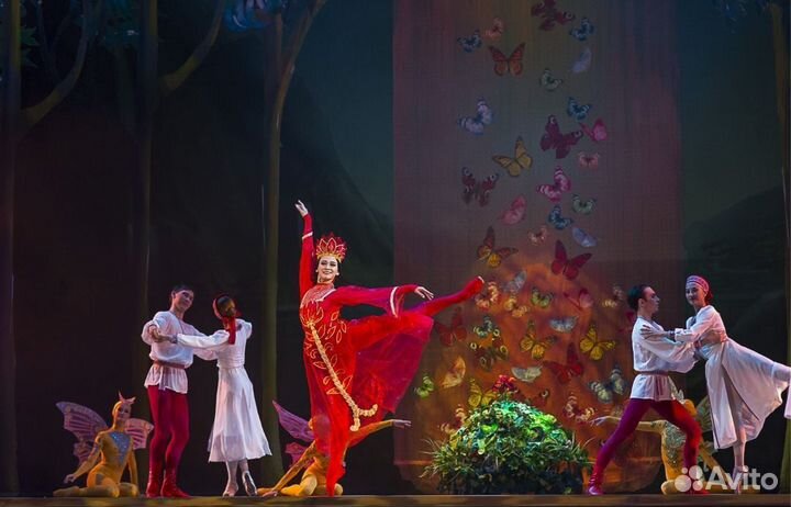 Билет Аленький цветочек балет 15.02