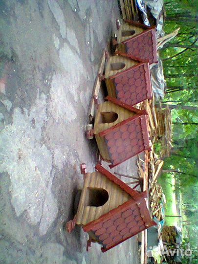 Собачья будка