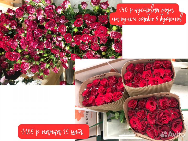 Роза Хризантема цветы 101 роза букеты