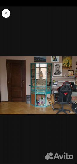 Витрина для шиншилл