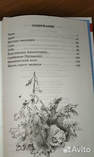 Внеклассное чтение, библиотека 