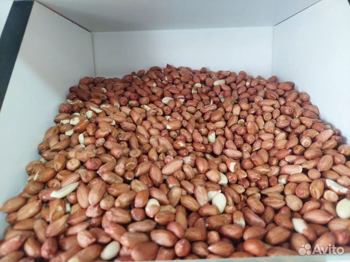 Все орехи свежие урожай доставка по всему городу