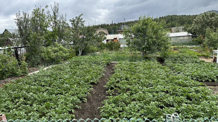 Дача 25 м² на участке 4,2 сот.