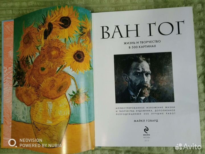 Книга о художнике, Ван Гог