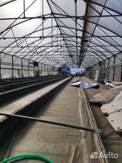 Фермерская теплица